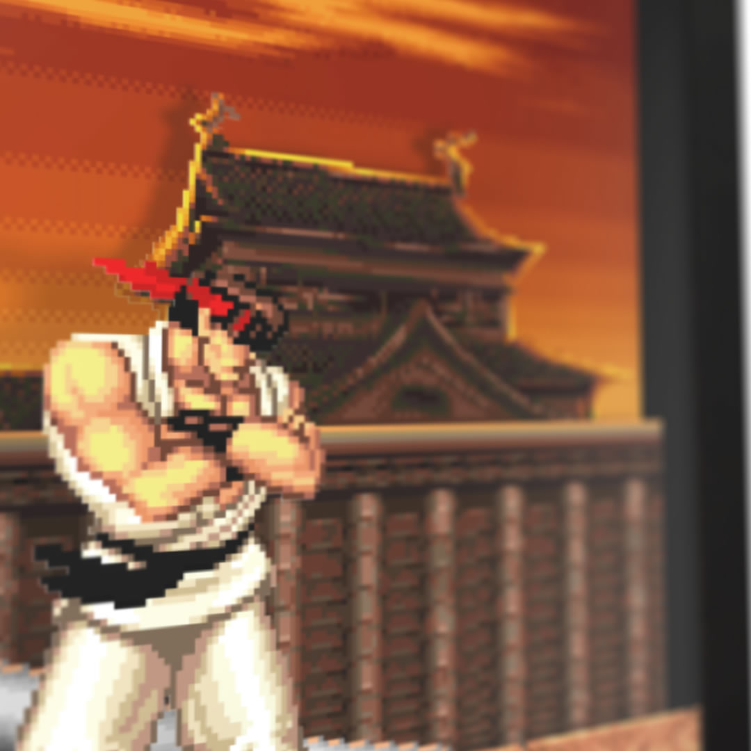 Ryu street fighter win