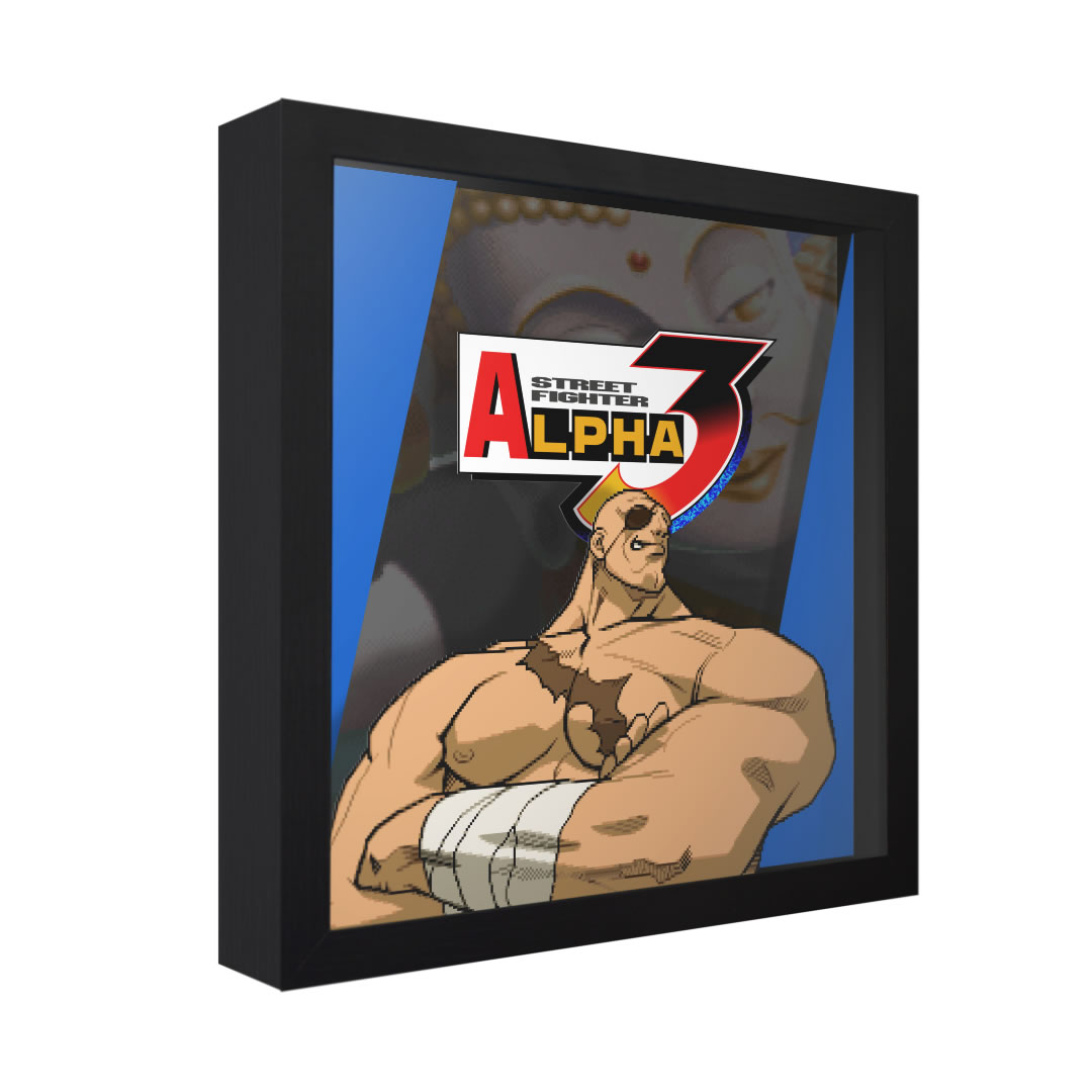 Street Fighter Alpha 3 (Ryu Portrait) – Retro Games Crafts